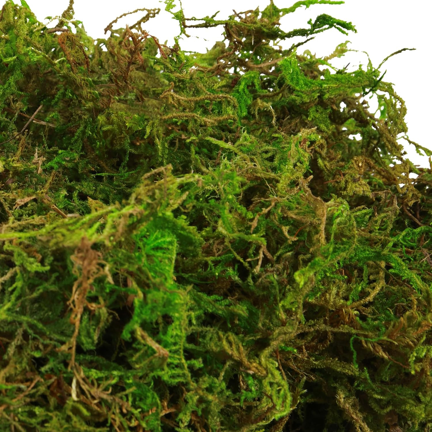 Fake Moss for Plants Indoor, 16OZ Green Moss for Crafts, Artificial Moss for Fau