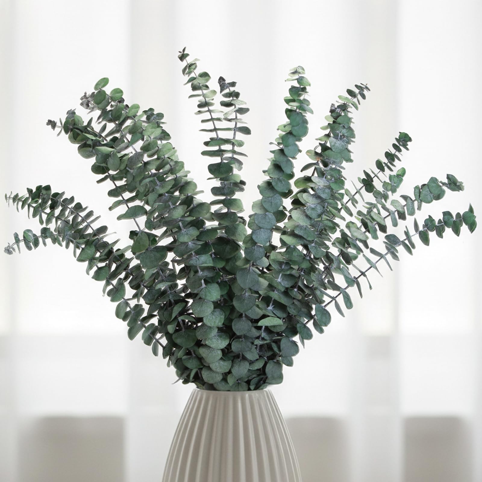 16PCS Preserved Eucalyptus Stems – 17″ Natural Dried Eucalyptus for Shower, A…