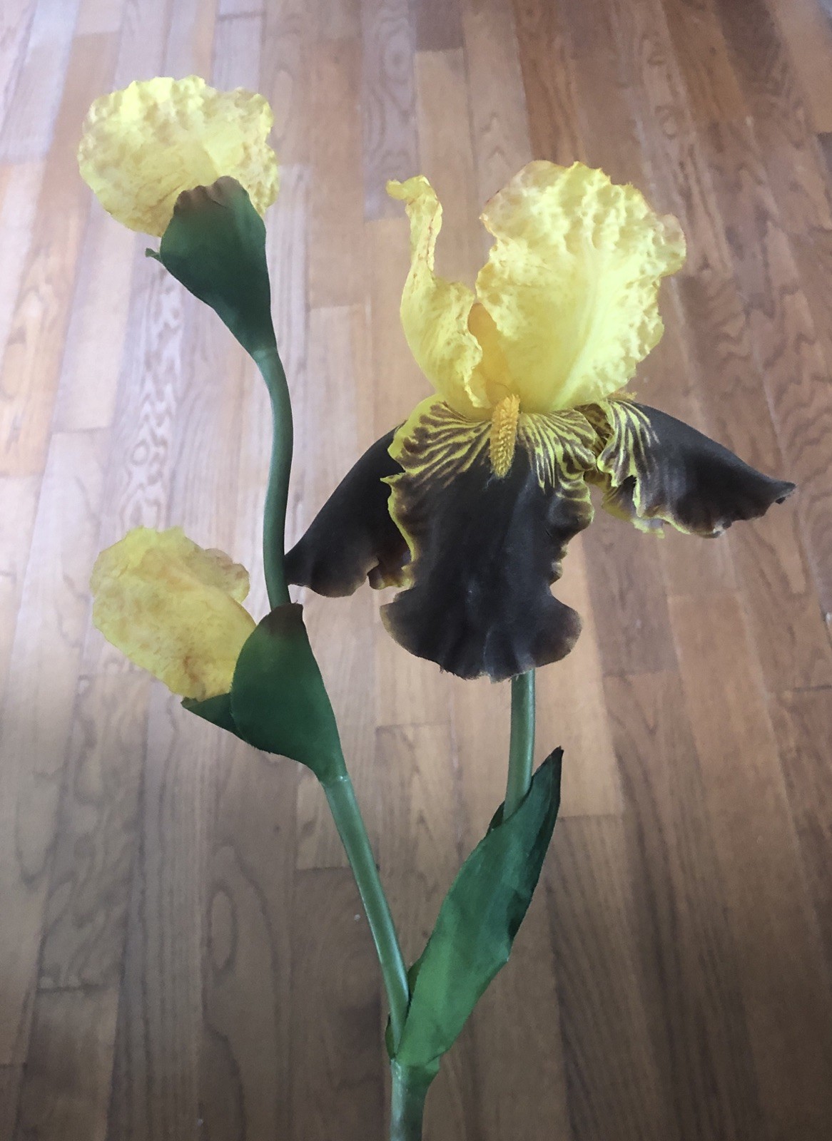 5 Stalks Yellow Iris Flowers Bouquet Long Stems Silk Artificial Crafts Weddings