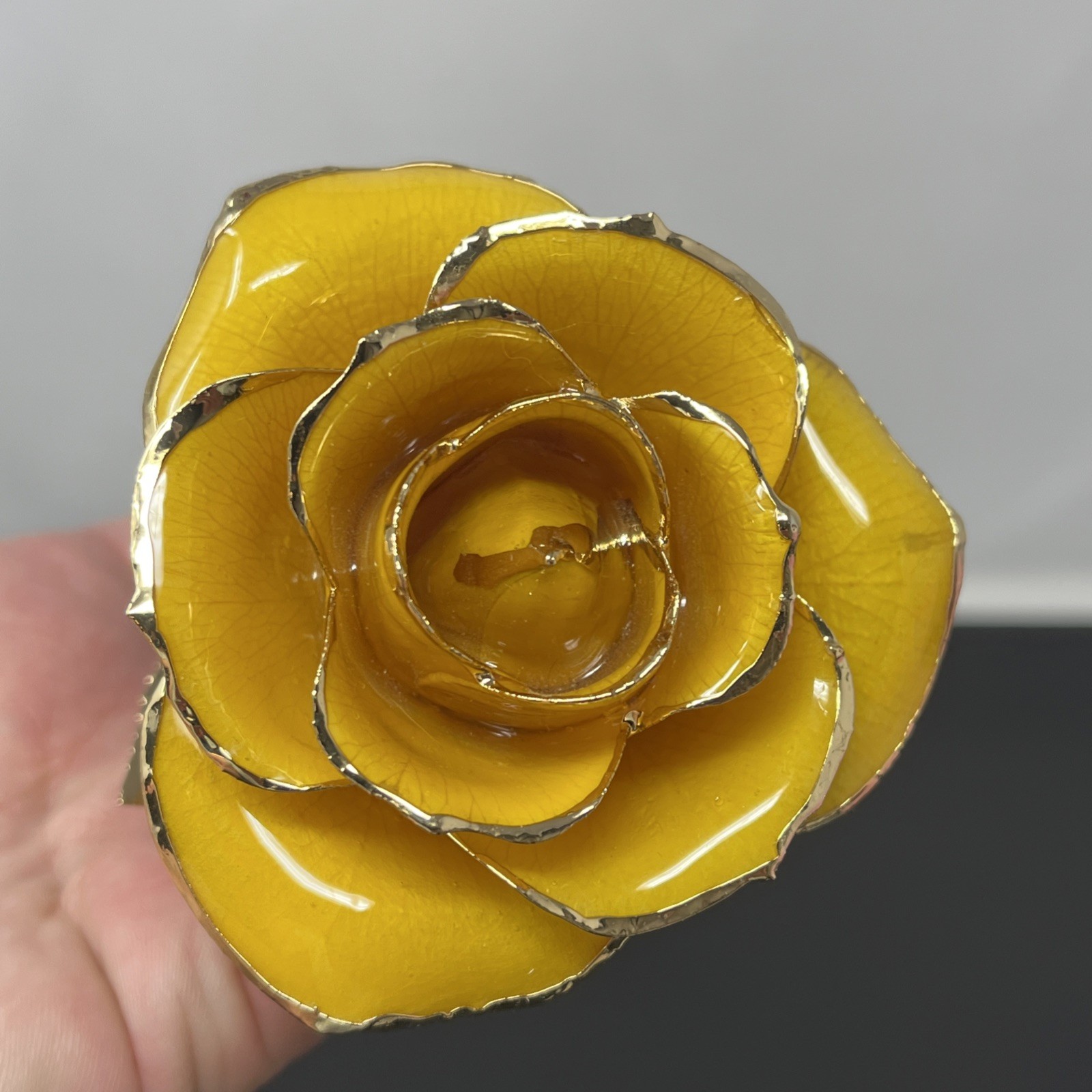 Handcrafted Preserved Yellow Rose Gloss Laquered With 24K Gold Plated Trimmed