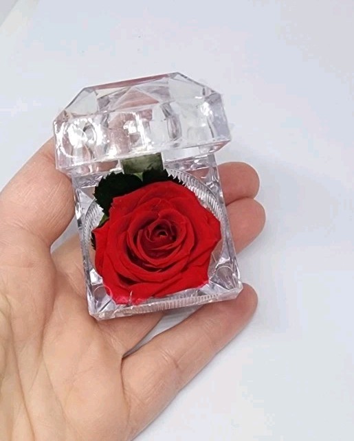 preserved Real red rose W Leaf In clear diamond shaped acrylic Ring box