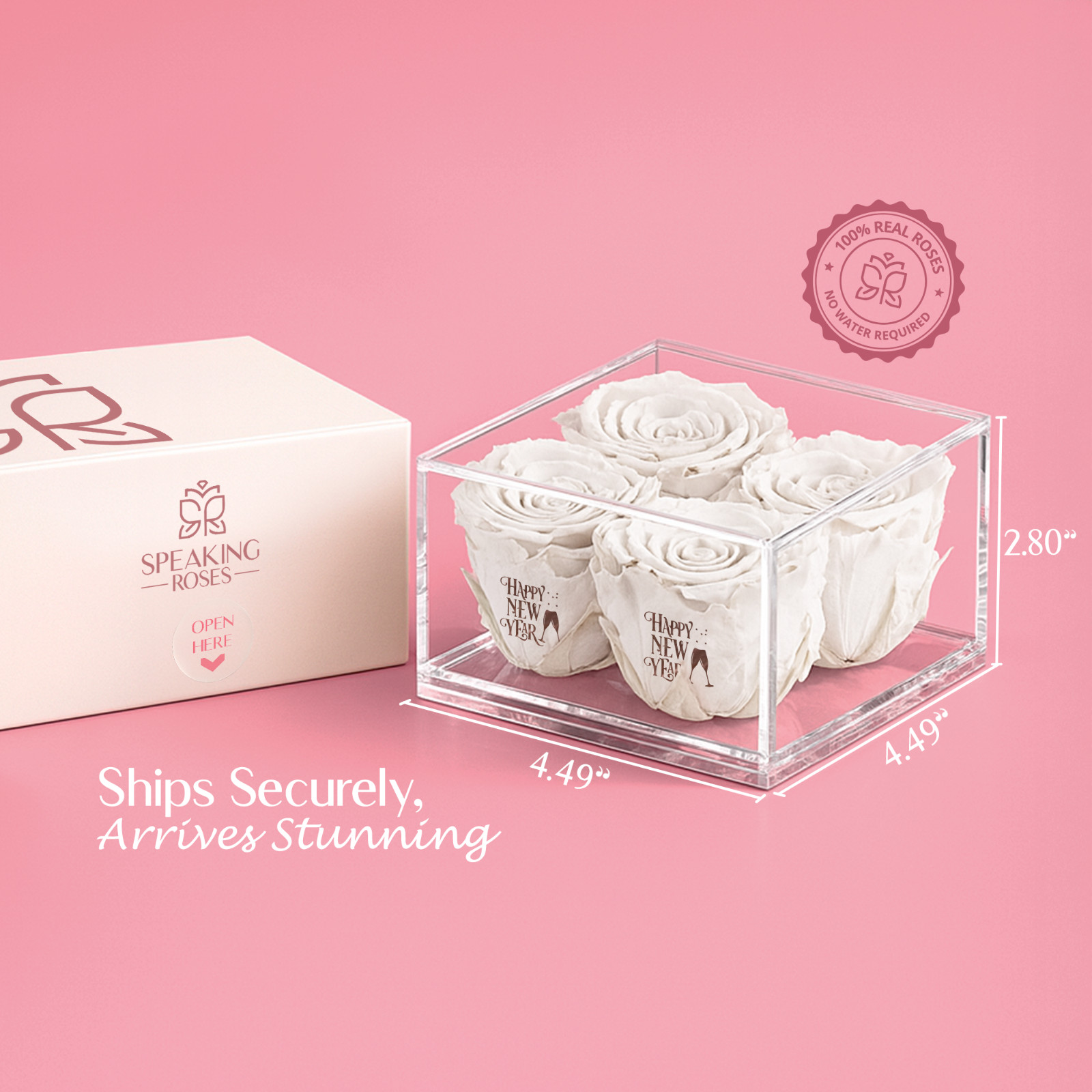 Speaking Roses Preserved Roses in Equoria V4 Display | “Happy New Year” Message