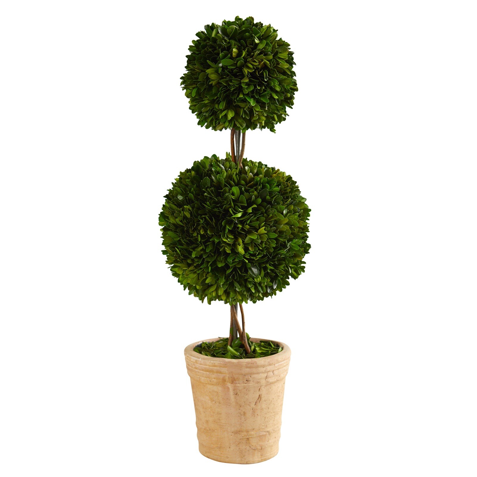 2.5’ Preserved Boxwood Double Ball Topiary Tree UV Indoor/Outdoor. Retail $145