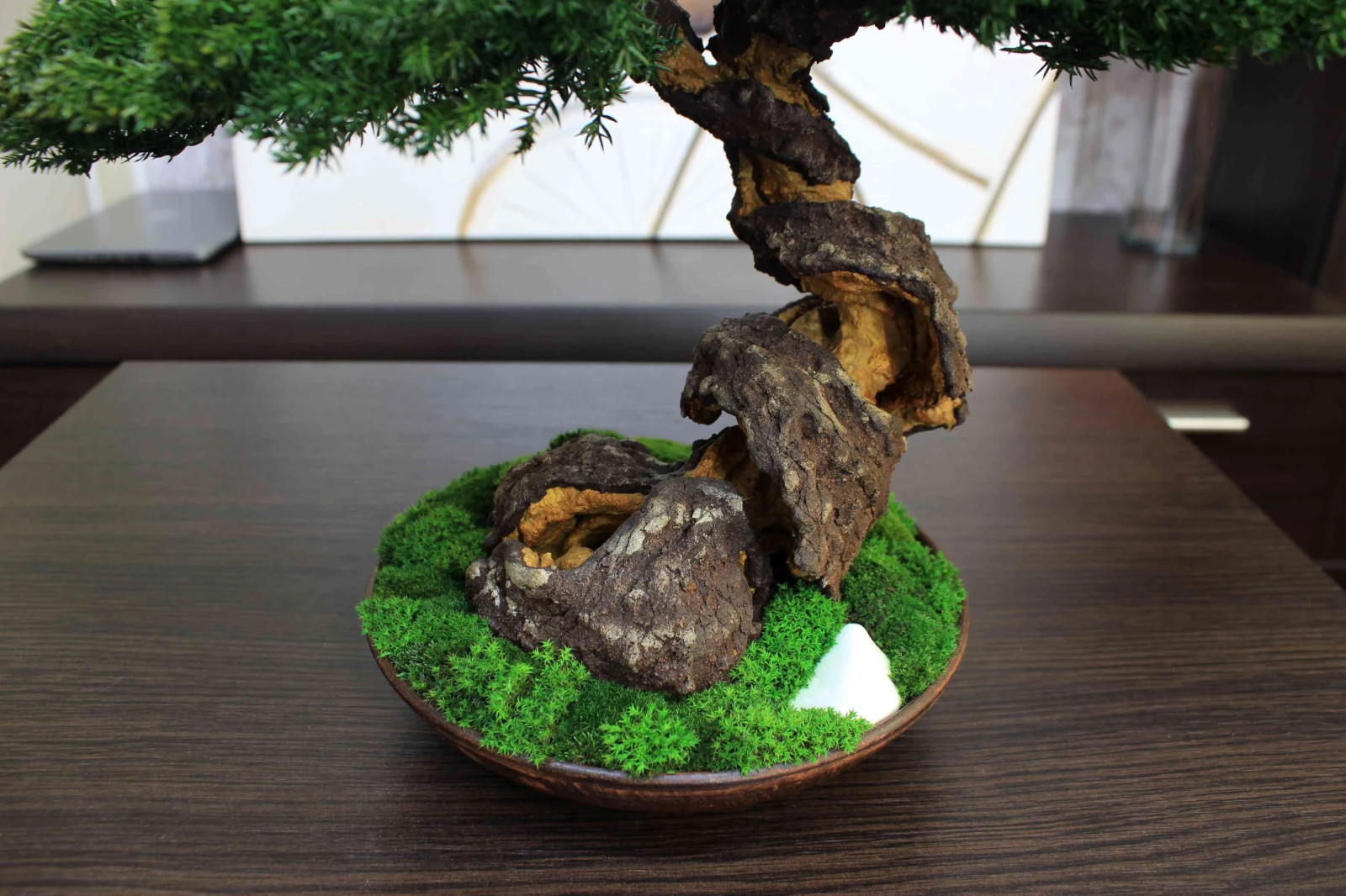 Exclusive Preserved Juniper Bonsai – Interior Art Sculpture. 40 cm / 15.75″