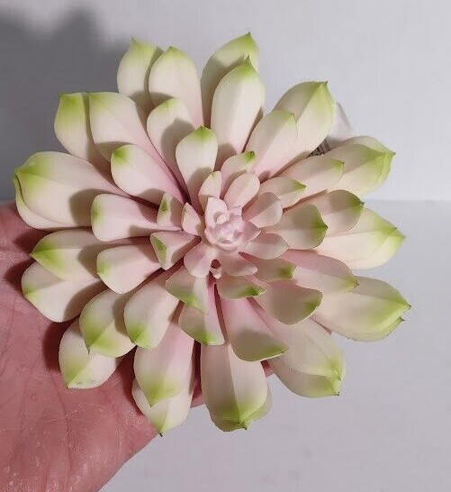 6″ soft touch echeveria pick, succulent
