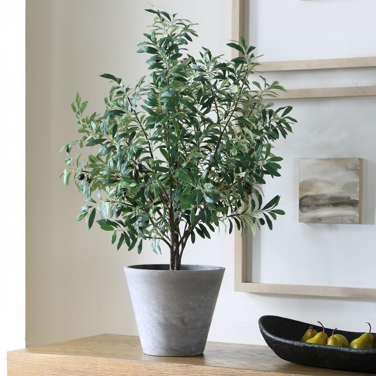 Uttermost 60268 Marisol Stone Gray and Green Potted Olive Plant