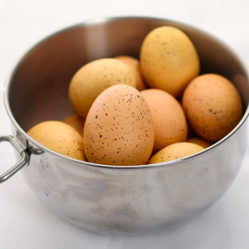 Set of 36 Assorted Sized Faux Speckled Natural Brown Colored Eggs