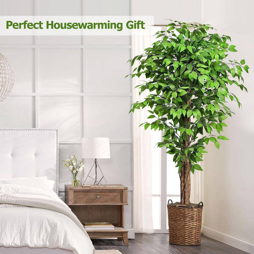 6.2 Ft. Artificial Ficus Tree in Black Cement Planter Pot with 3 Natural Curved