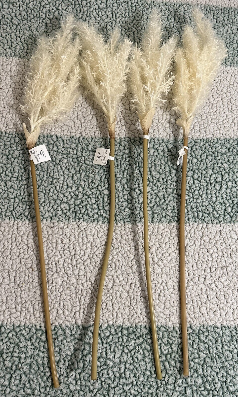 STEM PAMPAS GRASS For indoor decorative use Lot Of 4