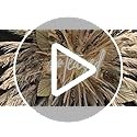 10 Stems 40″ Natural Pampas Grass Tall Dried Flowers Boho Wedding Home Decor