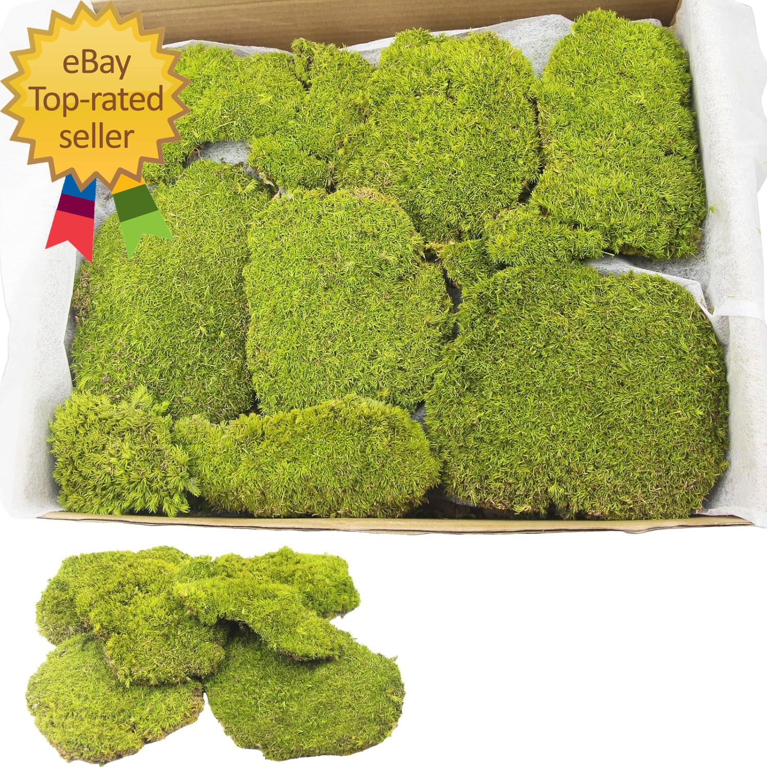 Preserved Pillow Moss Bulk Green Moss Balls for Bowls 2.5 Sq.Ft Natural