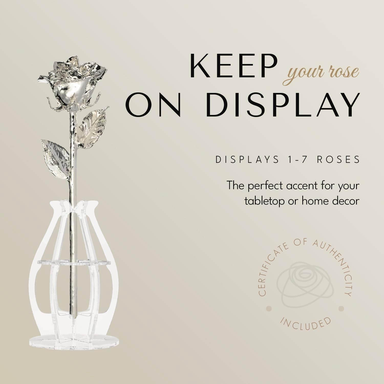 Hand Dipped Silver Rose & Phantom Vase | Unique Valentine’s Gift Bundle