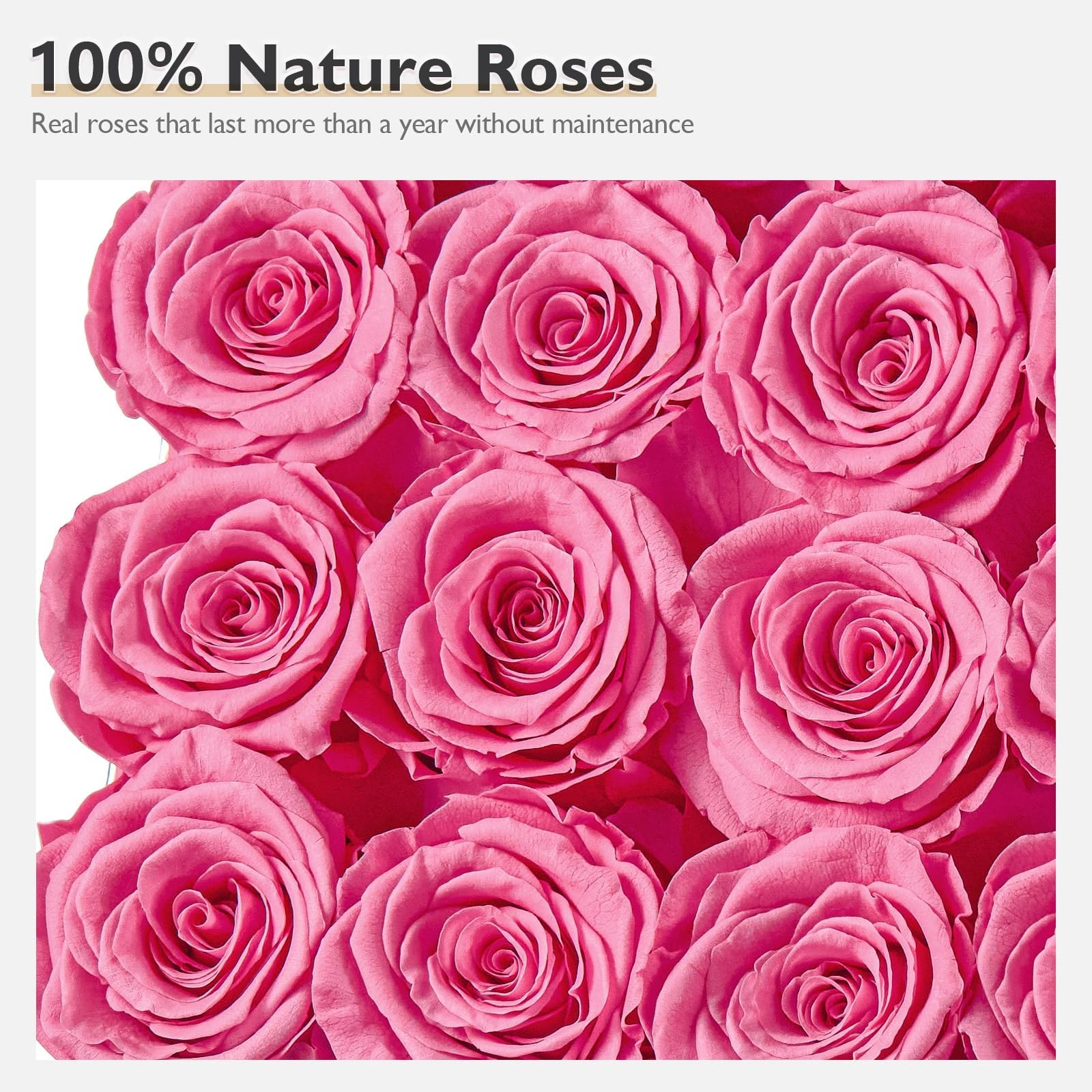16 PCS Pink Preserved Real Roses Square Gold White Plaid Box Valentines