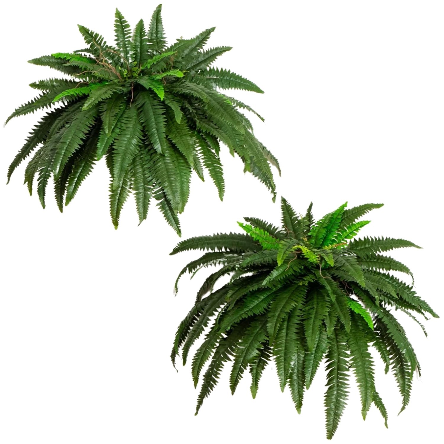 48″ Boston Fern Artificial Plant – Set of 2