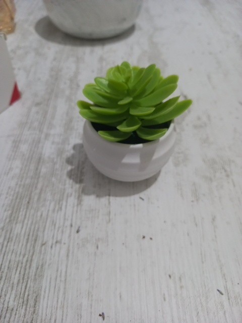 Artificial succulent plant for decoration