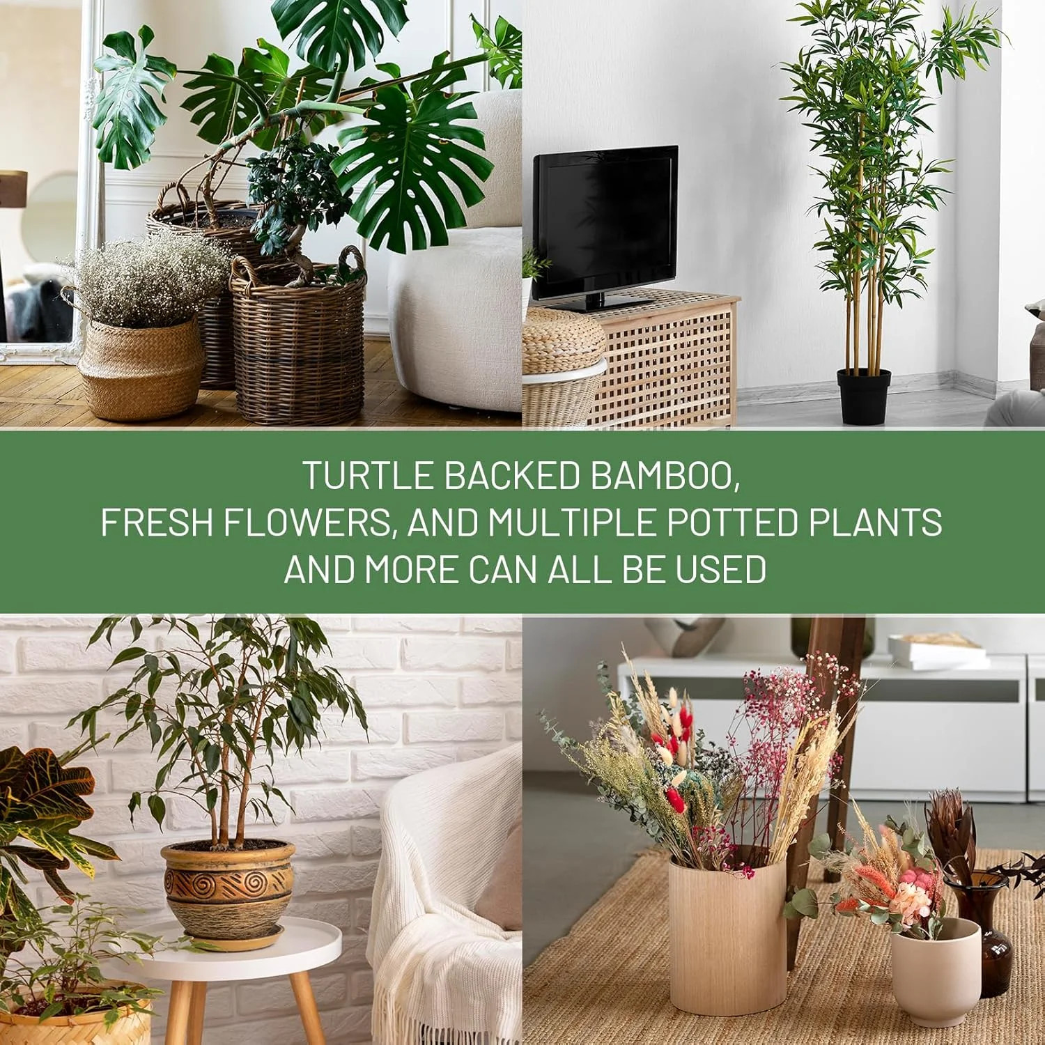 4PCS Green Iron Monstera Support, Uniquely Designed Plant Support Stakes for Ind