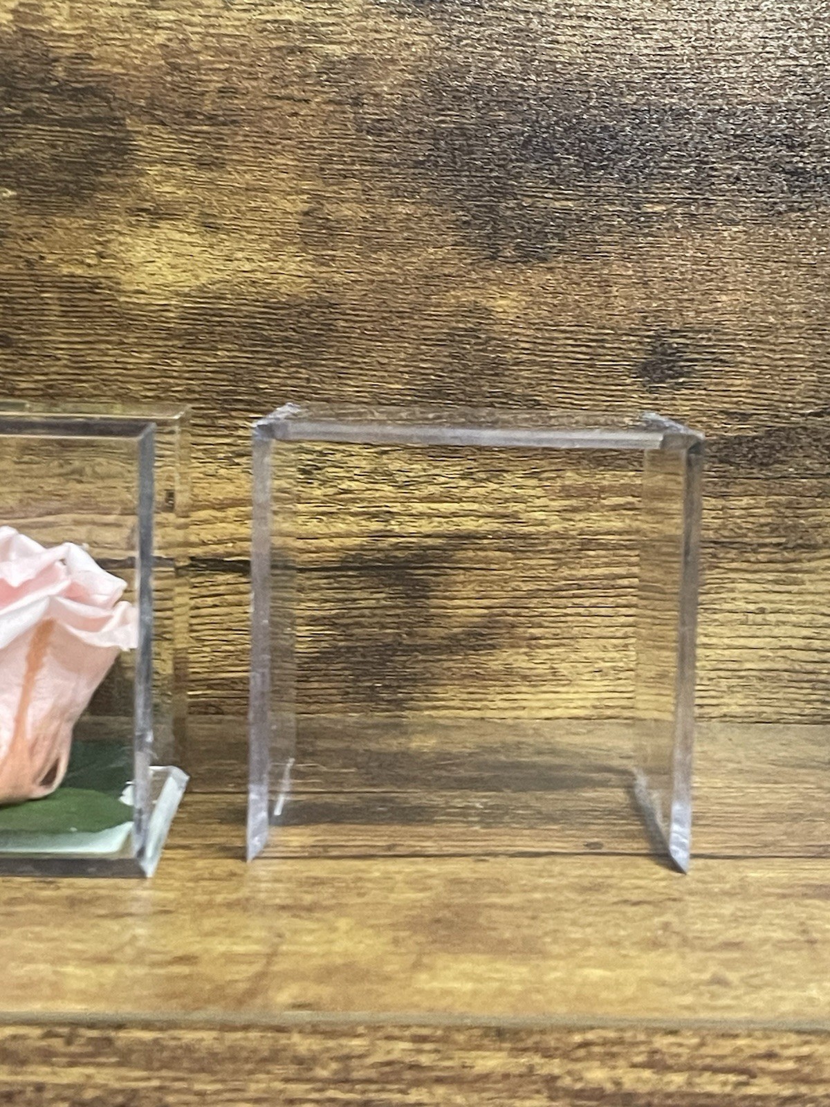 Verdissimo Preserved Rose Head in a Clear Acrylic Cube Light Pink Standard Size