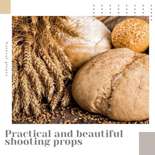 Dried Wheat Stalks Bundle – 1600 Stems Natural Decor for DIY Weddings, Home Cent