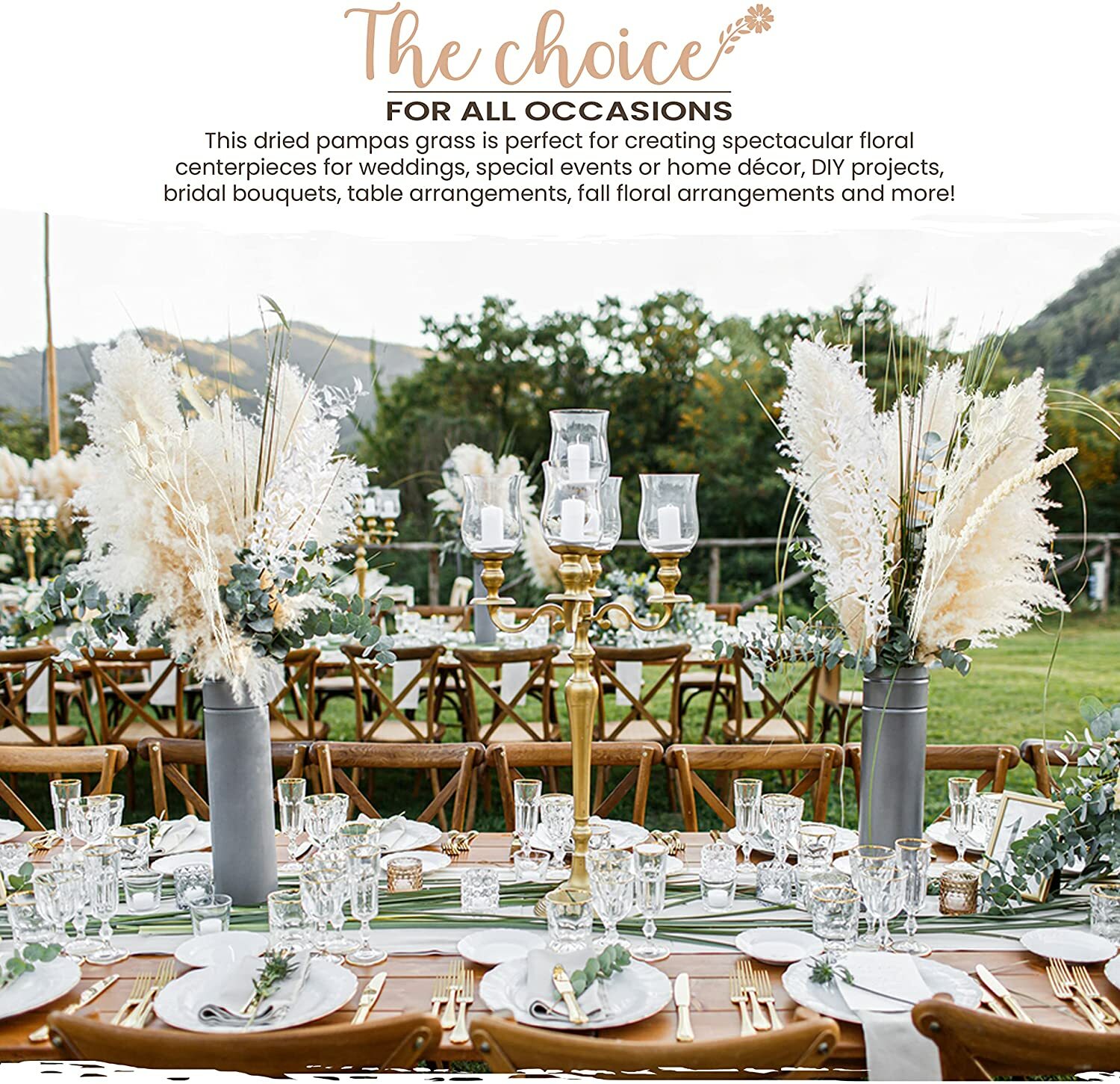MagicDecor 85 Stems Natural Dried Pampas Grass, Bunny Tails, Natural Reed Grass