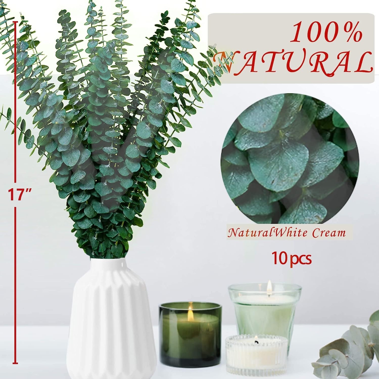 10Pcs Dried Eucalyptus Stems, 17″ Natural Hanging Eucalyptus for Shower | Rea…