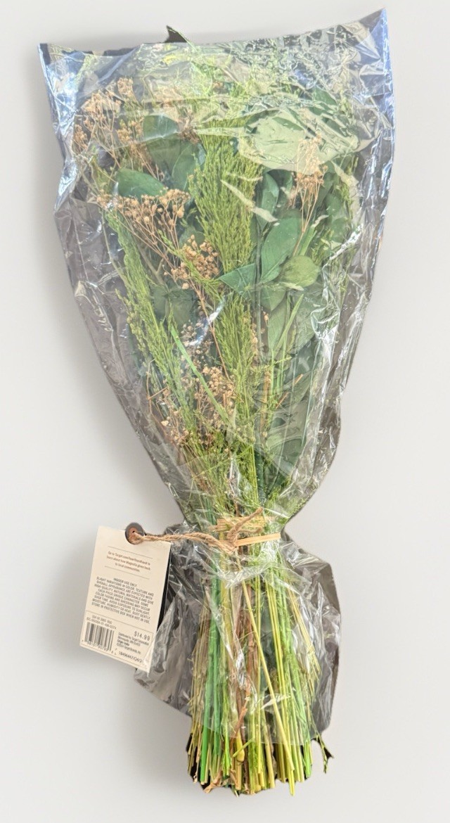 Target Hearth And Hand Magnolia Preserved Bundle Leaf Mix NEW