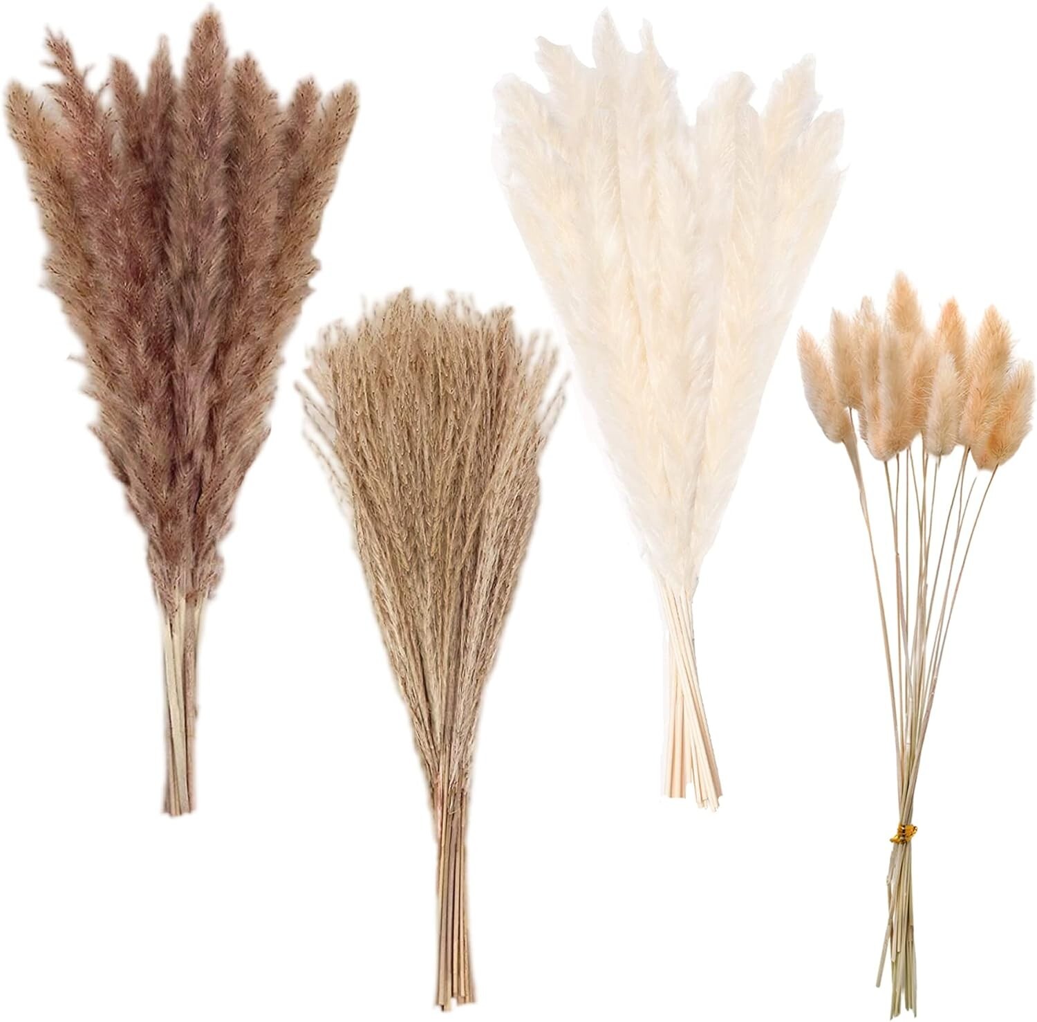 Premium Carefully Hand-Picked Natural Dried Fluffy Pompas Grass 17″