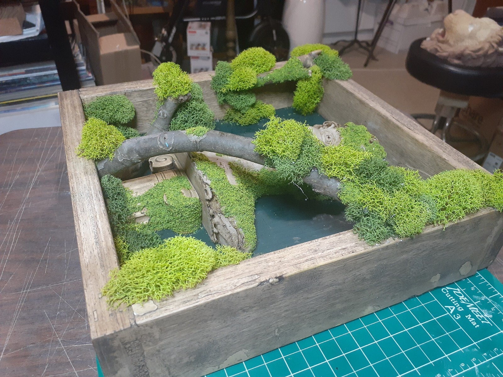 Reindeer Moss/ THE DAVID Forest Shadow Boxes 12″ x 12″ x 3″ inches