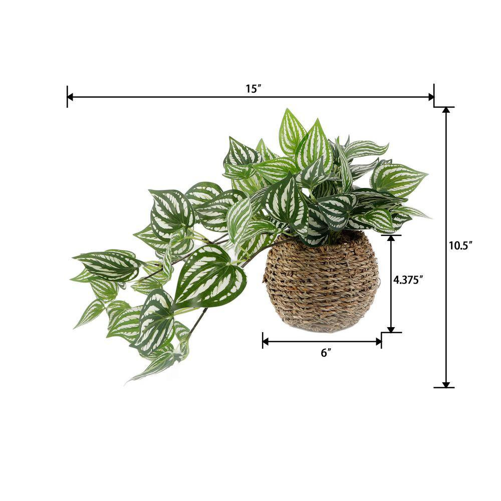 6 In. Brown Artificial Trailing Ivy in Basket