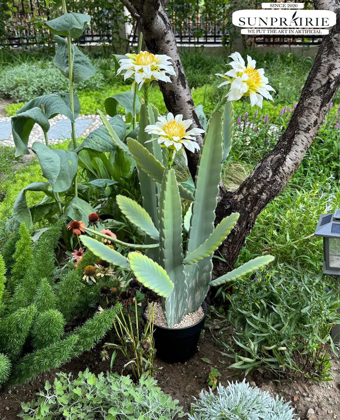 33 Inch Large Artificial Cactus with Lilly White Flowers in Pot with Natural …