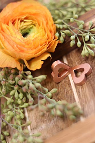 Flower Food Substitute for Fresh Cut Flowers | Keeps Water Clean & Clear | 2 Pac