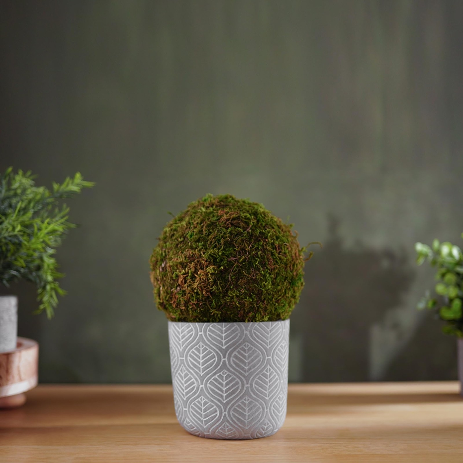 Small Potted Fake Moss Ball Artificial Plants Topiaries for Shelf Home Office…