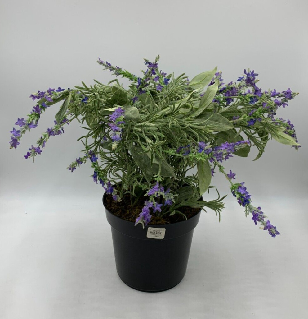 Pottery Barn Faux Potted Lavender in Terracotta Pot Large 24.5″ H #1692