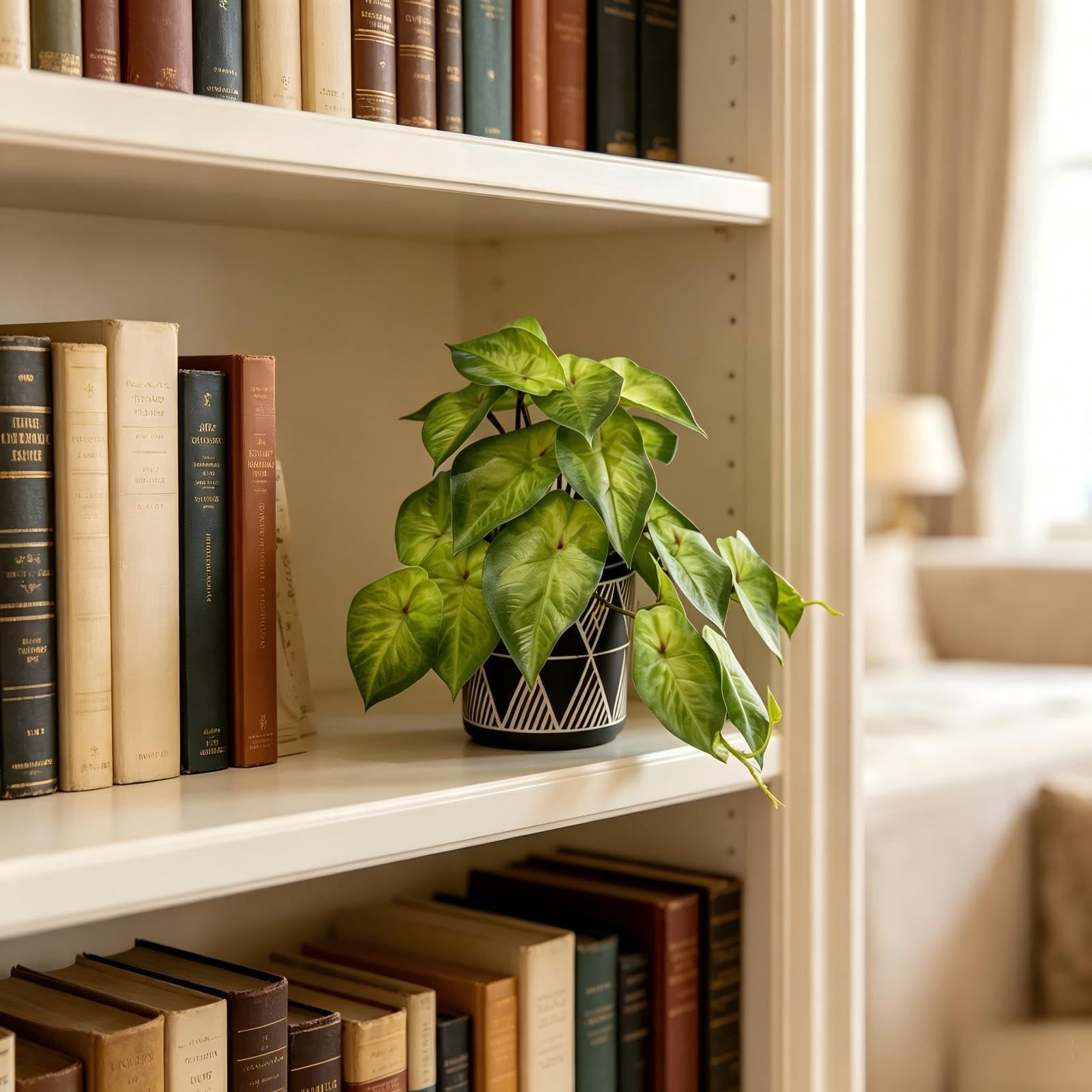 Small Ivy Plant Black White Geo Cement Pot Desk Decor