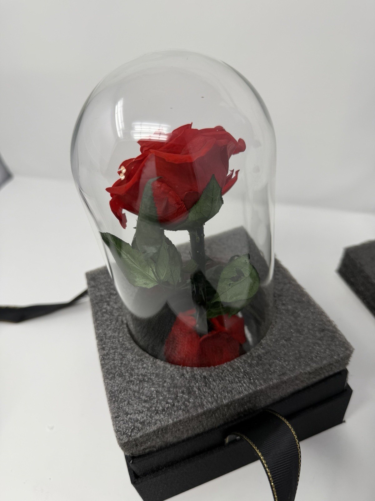 Forever Preserved Rose – Eternal Rose in Glass Dome – Beauty and the Beast Rose
