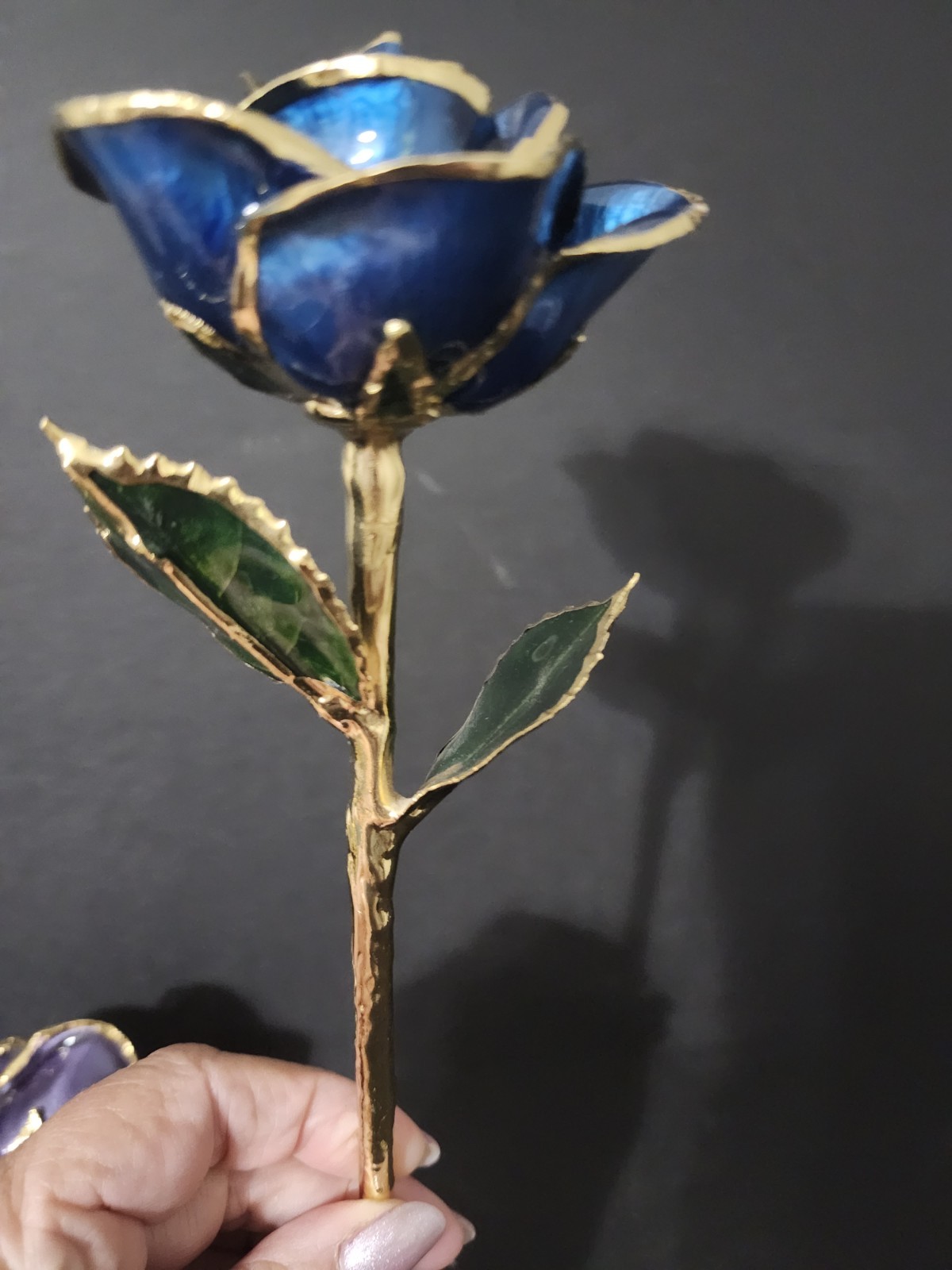 Lacquer Dipped 24k Gold Trimmed Real Preserved Blue And Purple Rose 11″ Set Of 2