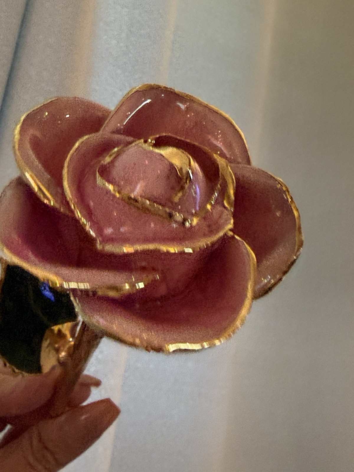 real rose dipped in 24k gold in Plum