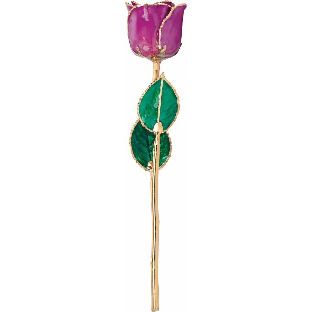24k Gold Dipped Amethyst Colored Lacquer Real Rose Valentine’s Day Holiday Gift