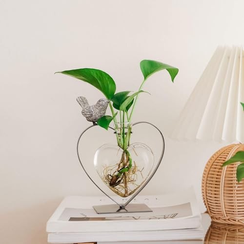 Desktop Glass Vase, Bulb Glass Vases for Holder, Heart Bird Planter Glass Vase