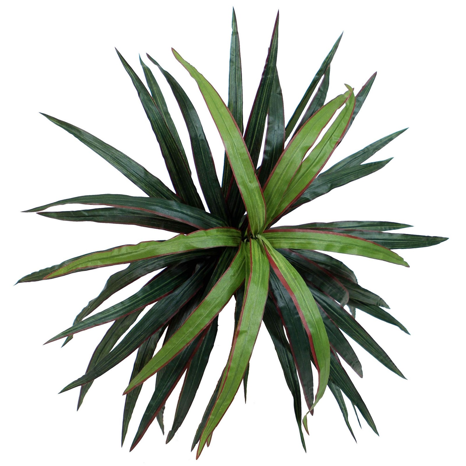 Vickerman 6.5′ Artificial Marginata Deluxe Tree with Black Plastic Pot in Green