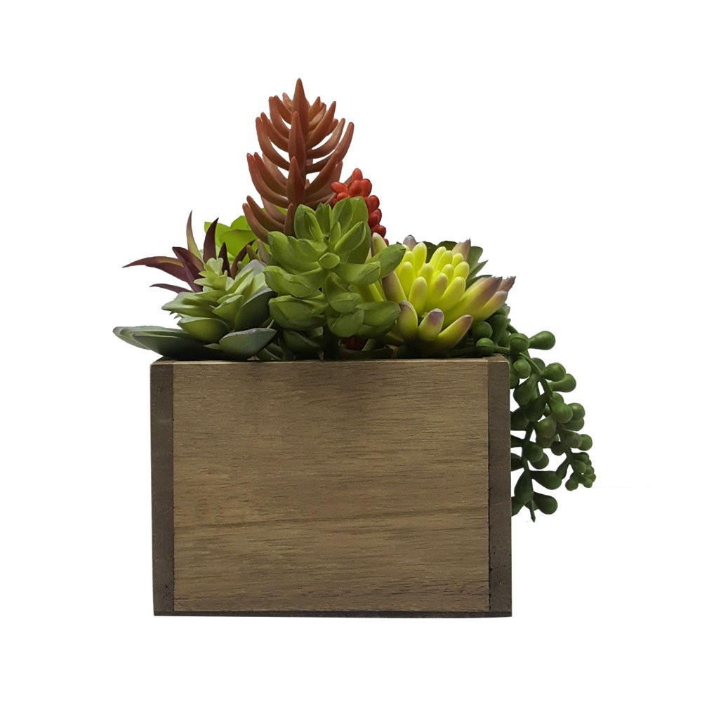 ARTIFICIAL MIXED SUCCULENT PLANTS 7.5 In High in Wood Box