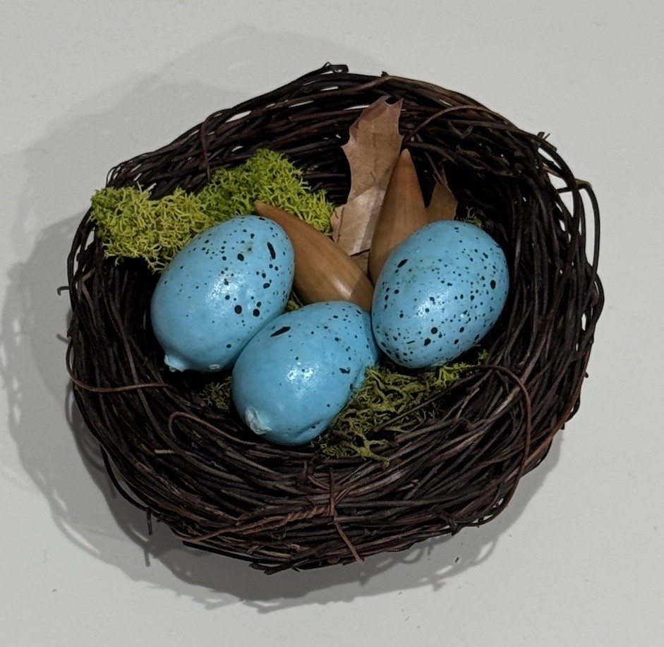 Rustic Bird Nest With 3 Decorative Eggs Natural Spring Farmhouse Easter