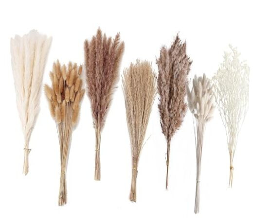 Dried Pampas Grass Decor, 128PCS Pampas Grass with Bunny Tails Dried Flowers,