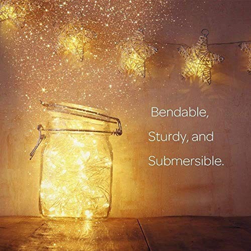 10 Ft LED Firefly String Lights Battery