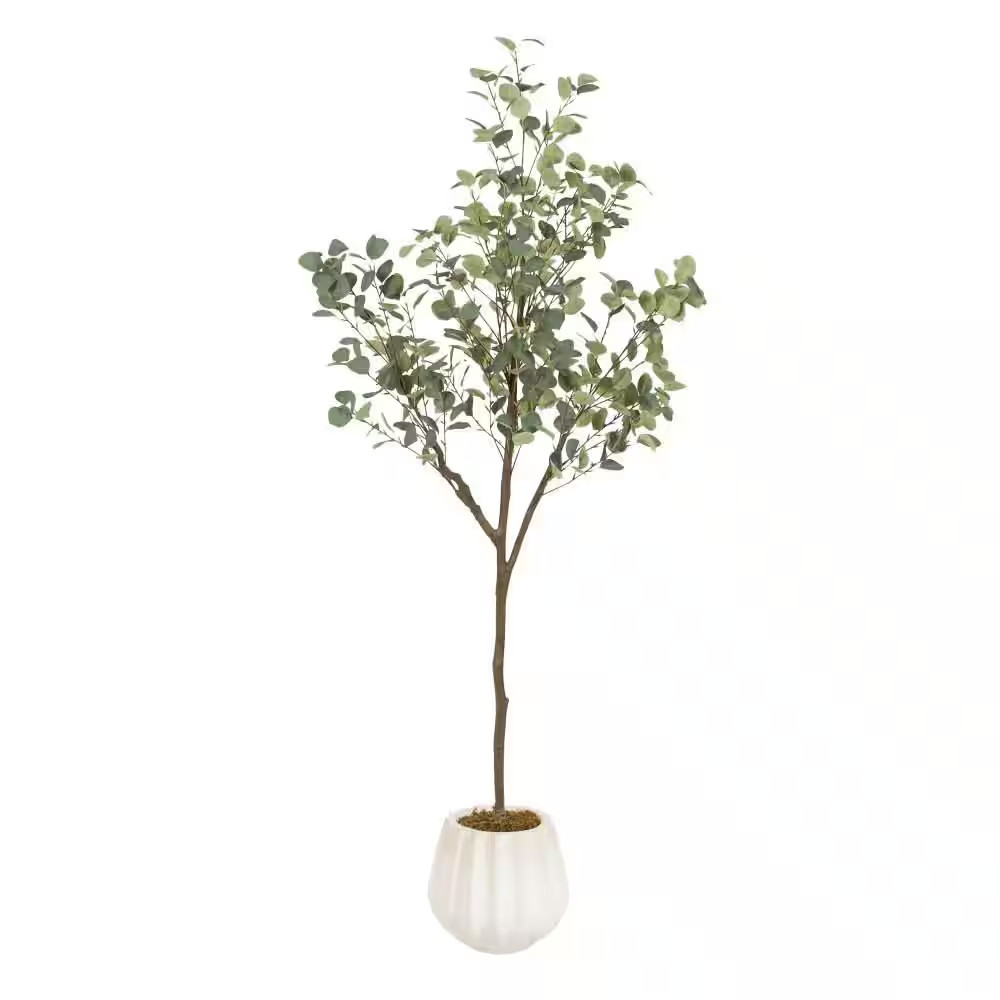 6 Ft. Artificial Eucalyptus Tree in White Ceramic Pot