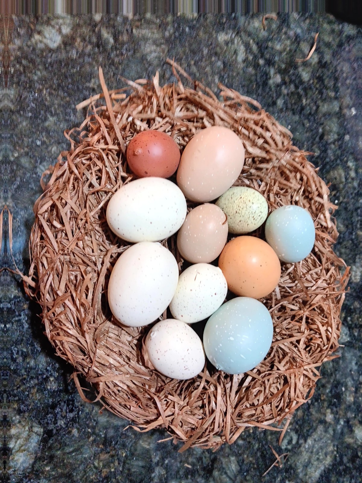 VTG Artificial Bird Nest w/ Speckled Eggs, Easter Spring Decor Rustic Farmhouse