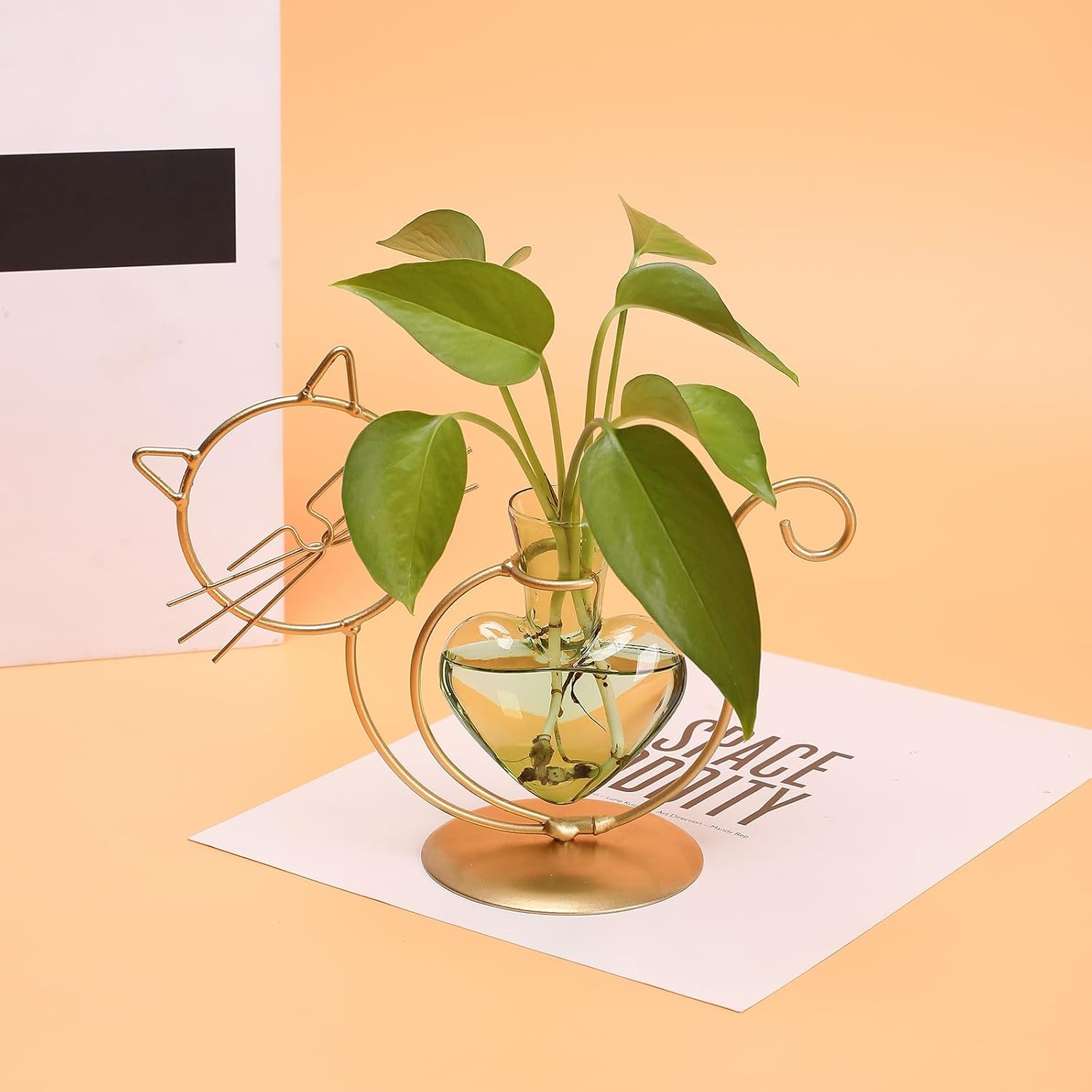 Plant Terrarium Plant Propagation Station Cat Lover Gifts for Women | Plant Love
