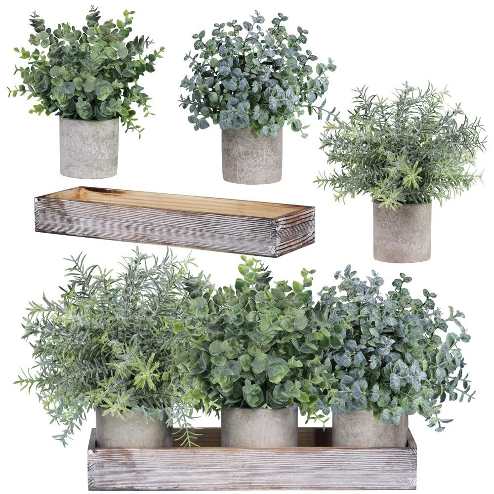 Set of 3 Mini Faux Eucalyptus & Rosemary Plants in Wood Planter Box – Indoor Gre