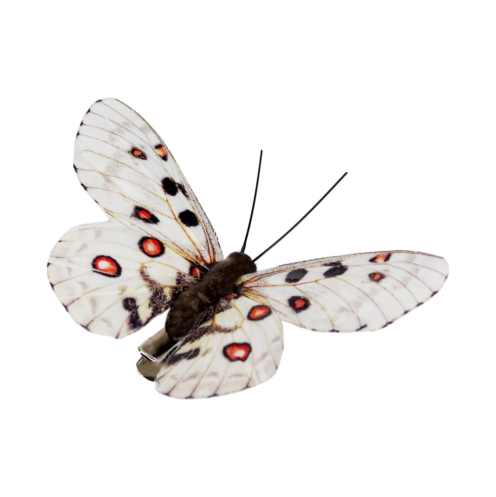 -Feather Fake Butterfly for Craft Decoration Set of 12 with Clip Wedding Home…