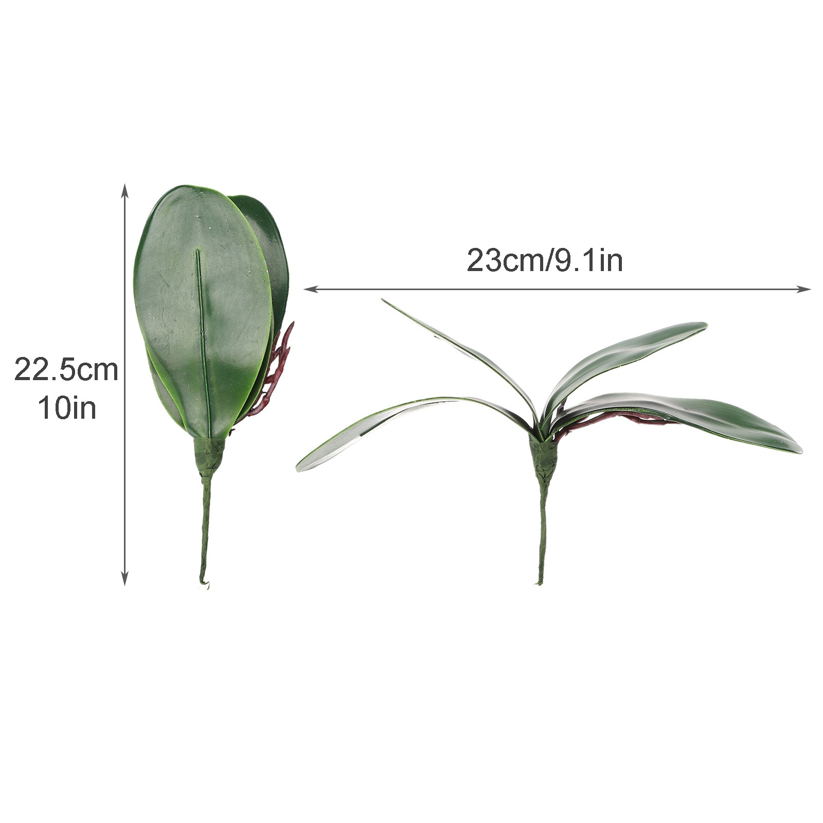 Eva Large 4 Pieces Of Phalaenopsis Leaves Orchid Leaves Wedding Home Decorati US