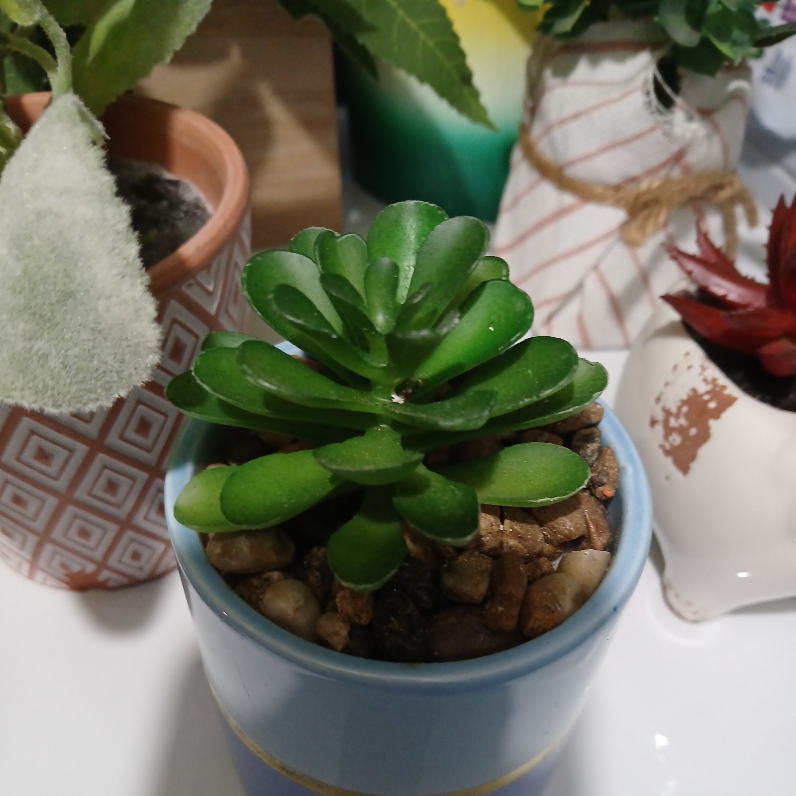 Decorative Fake Potted Succulents. New and Gently Used lot of 12